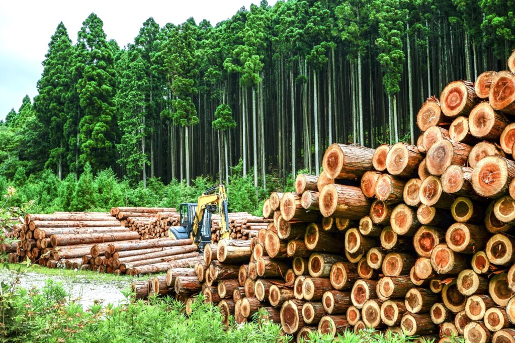 「木材利用促進法」とは？目的・活用できる補助金を解説の画像